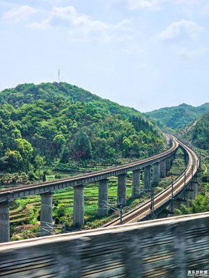 (四月物語(yǔ))+路上的風(fēng)景