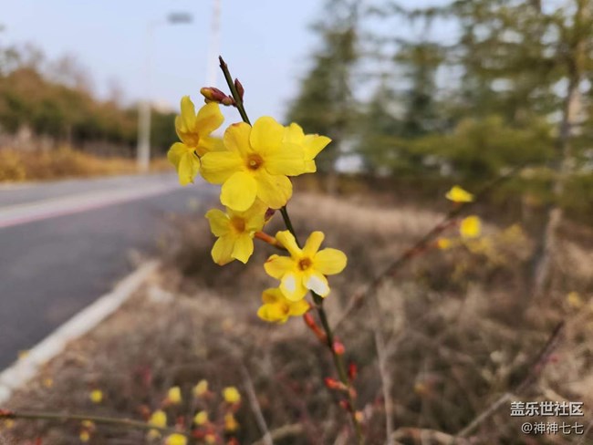 【哈爾濱之春】+ 抓住春天的腳步