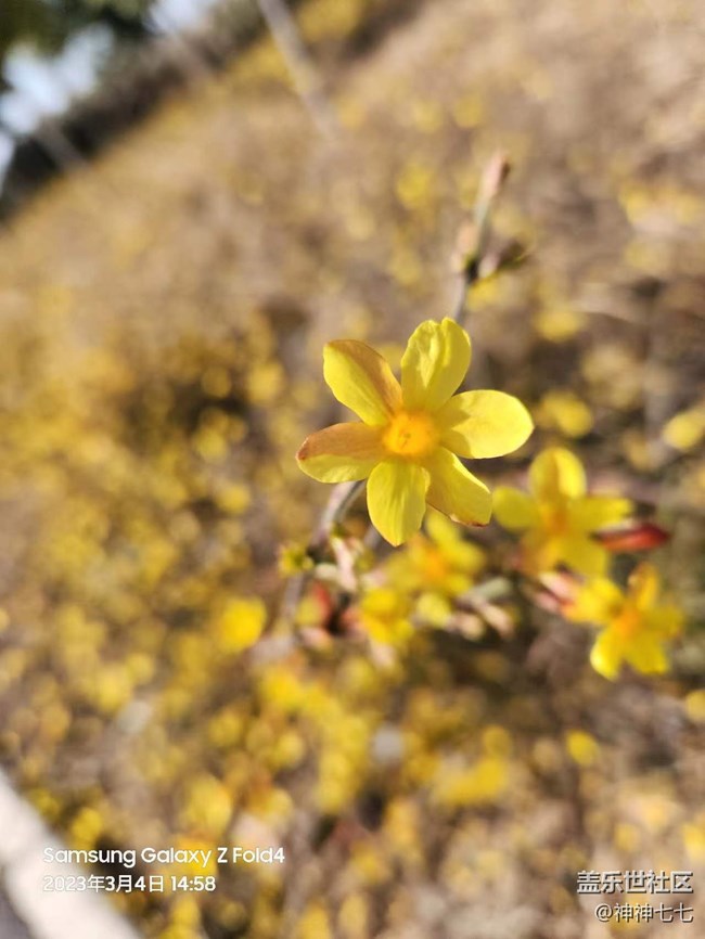 【哈爾濱之春】+ 抓住春天的腳步