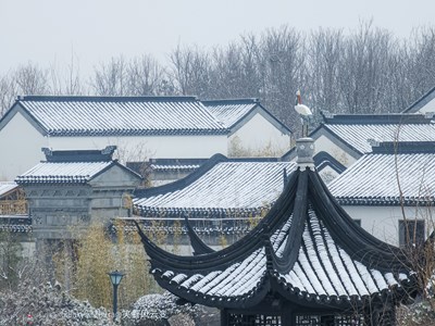 Galaxy S22Ultra   春雪