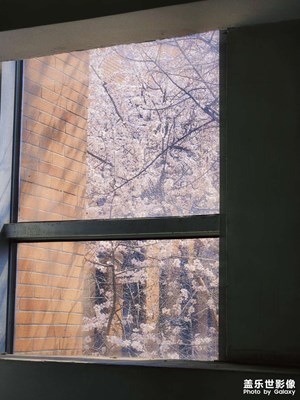 【四月物語】至若春和景明