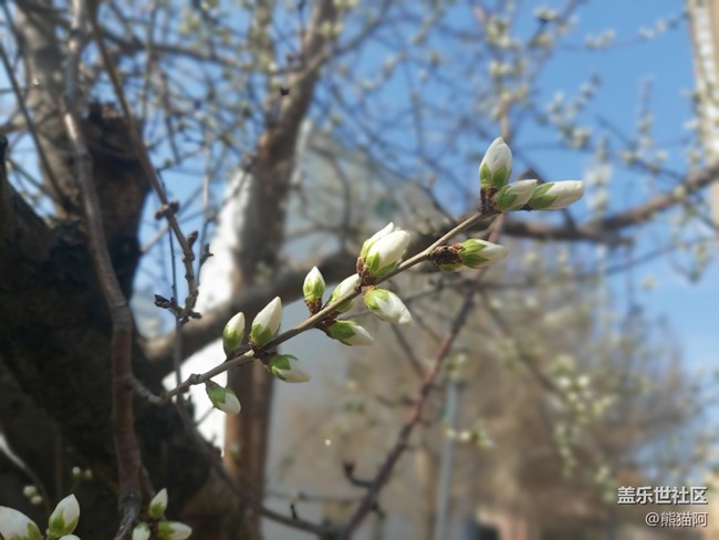 【生機(jī)盎然】萬(wàn)物復(fù)蘇