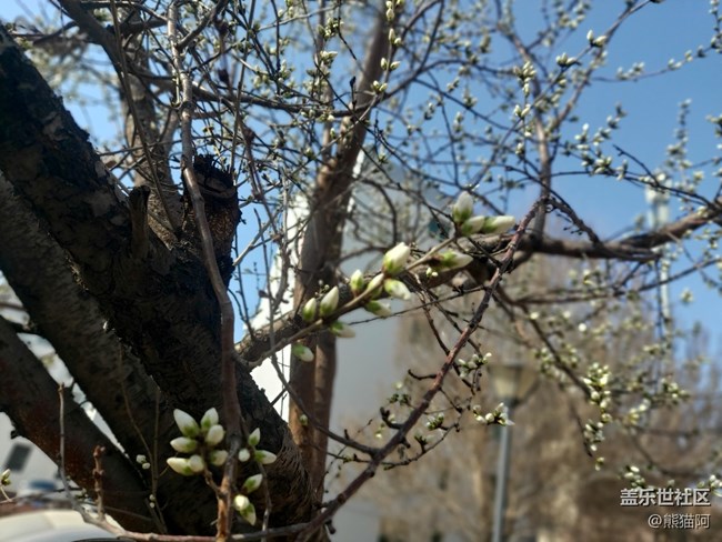 【生機(jī)盎然】萬(wàn)物復(fù)蘇