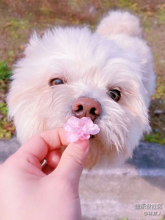 【身邊的小動(dòng)物】小艾