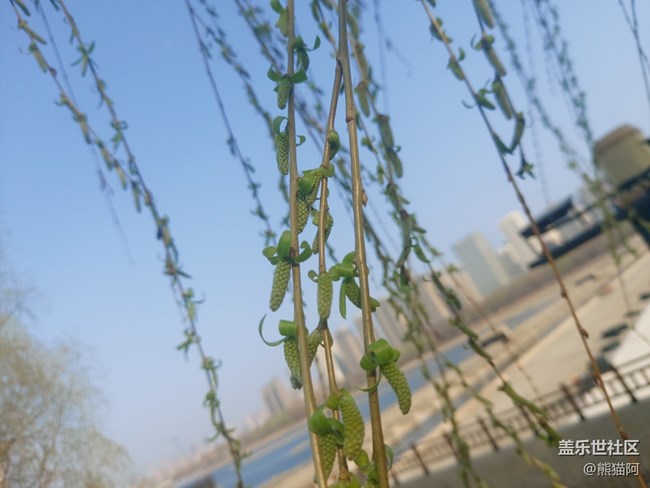 【風(fēng)和日麗】花香葉美