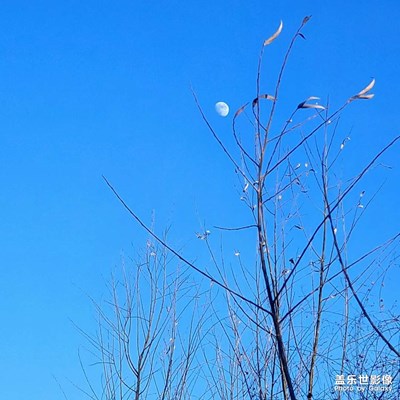 隨便拍一下