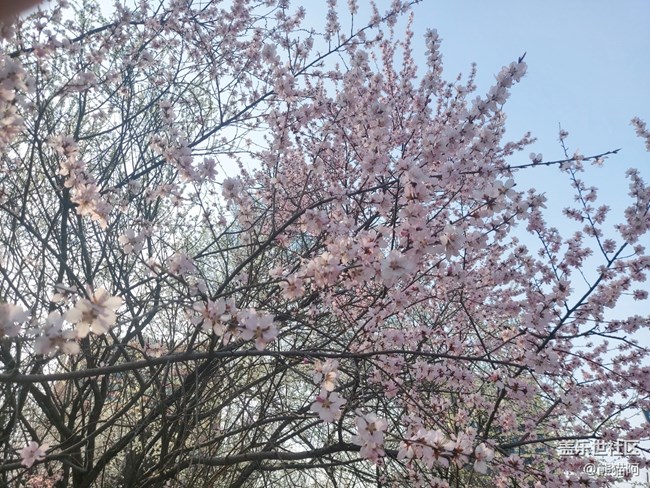 【風(fēng)和日麗】花香葉美