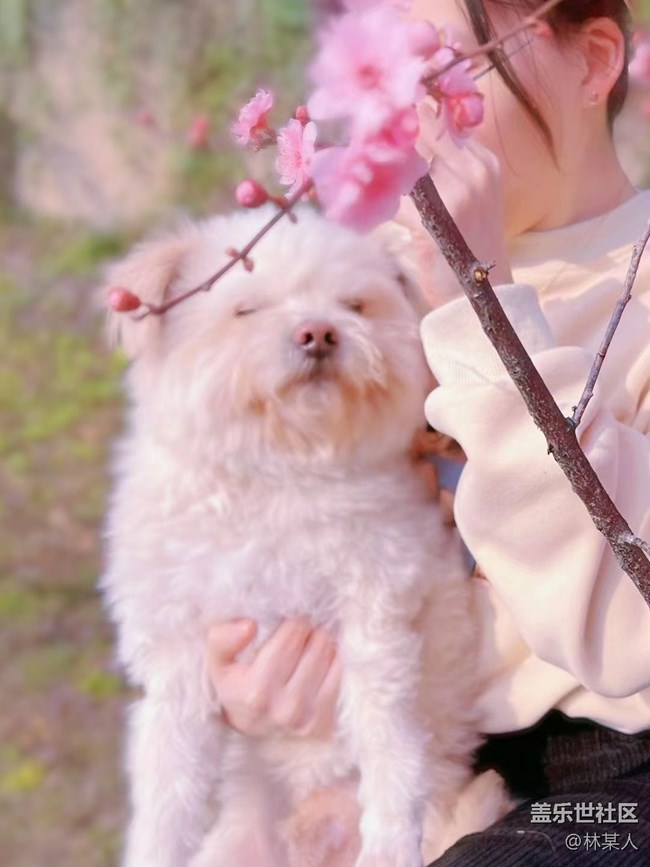 【身邊的小動(dòng)物】小艾