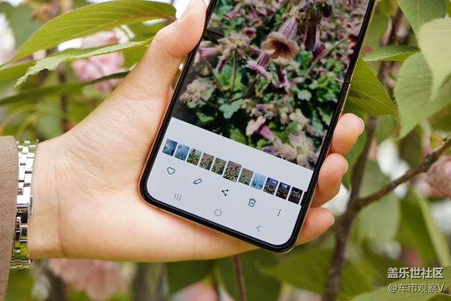 三星W23 Flip的濾鏡功能確實(shí)強(qiáng)大