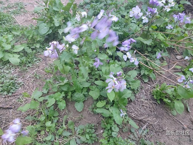 【生機(jī)盎然】萬(wàn)物復(fù)蘇