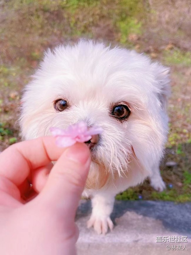 【身邊的小動(dòng)物】小艾