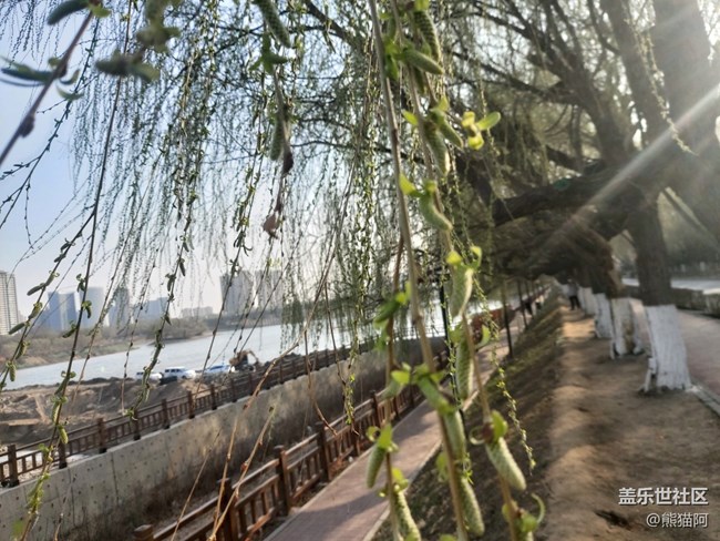 【哈爾濱之春】豐富的植物