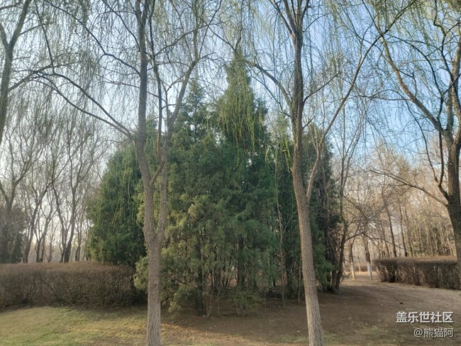 【風(fēng)和日麗】花香葉美