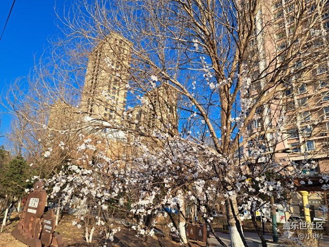 【生機盎然】桃花朵朵開