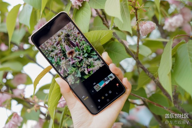 三星W23 Flip的濾鏡功能確實(shí)強(qiáng)大