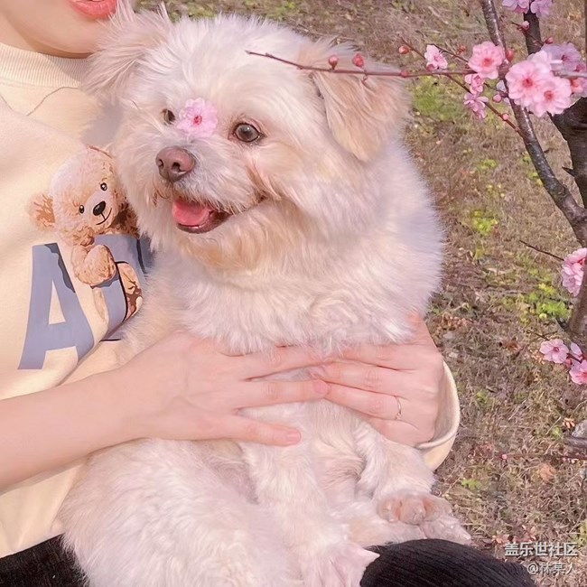 【身邊的小動(dòng)物】小艾