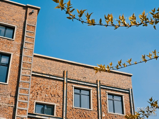 【盛京記憶】紅梅