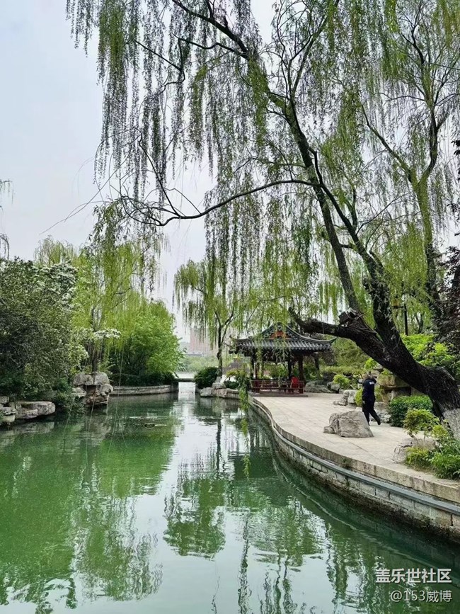 《不負春光》濟南大明湖