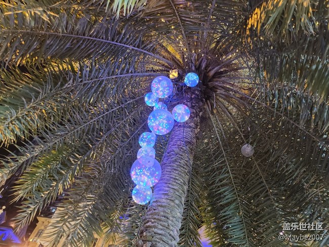 順手用 Flip4 夜拍了幾張分享