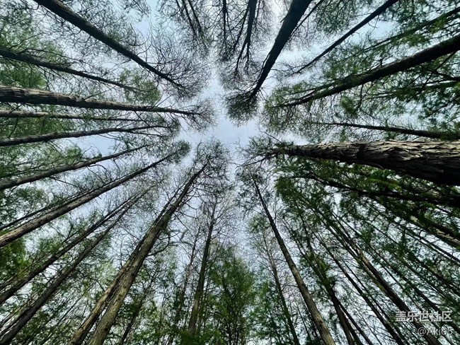 【初夏】東湖落雁風(fēng)景區(qū)