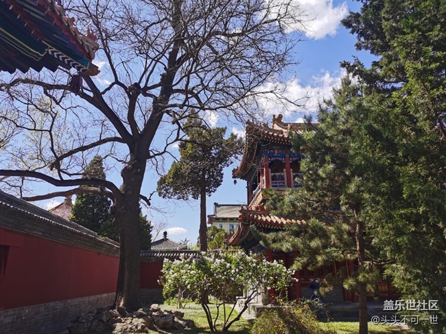 【最美四月天】春日北海別樣情