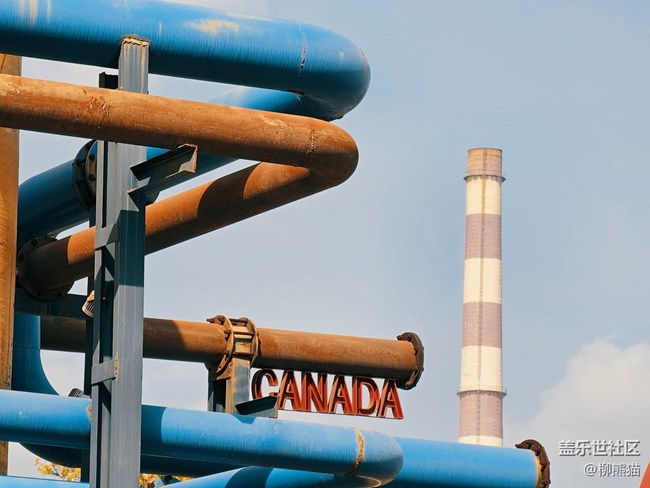 【盛京記憶】紅梅