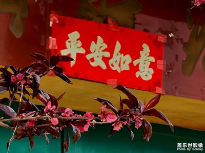 【四月物語(yǔ)】+新時(shí)代鄉(xiāng)村