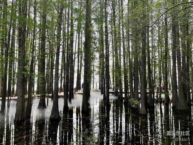 【初夏】東湖落雁風(fēng)景區(qū)