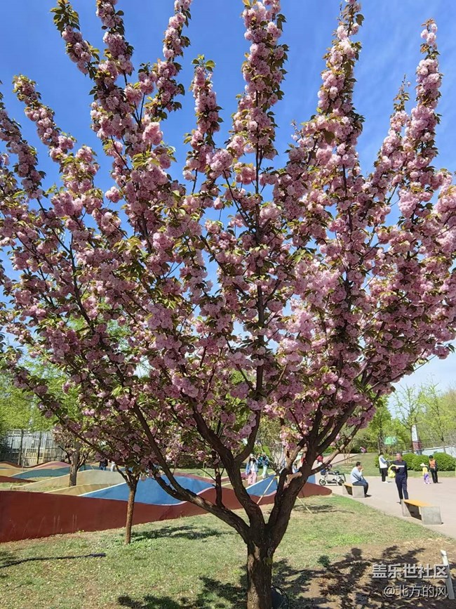 路過風(fēng)景線 -----春天的美麗風(fēng)景線