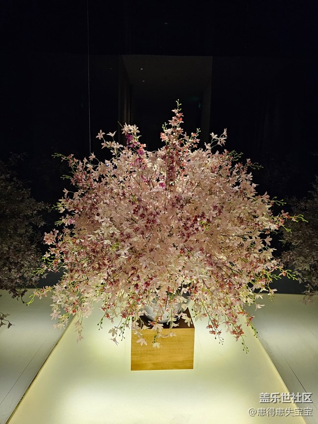 #路過(guò)風(fēng)景線——駐足