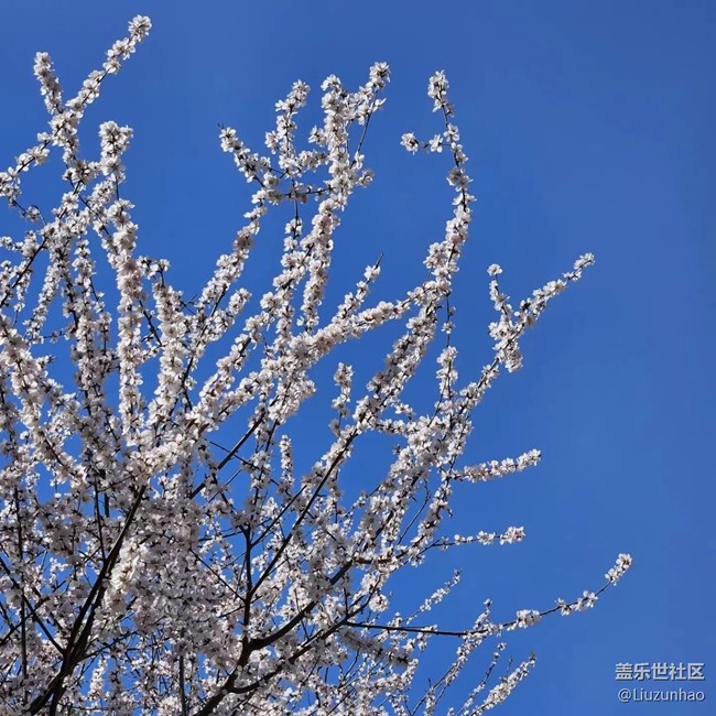 【最美四月天】春暖花開(kāi)