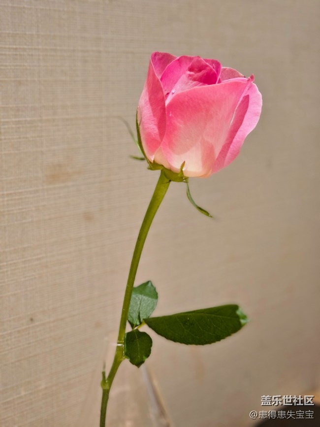 #路過(guò)風(fēng)景線——駐足