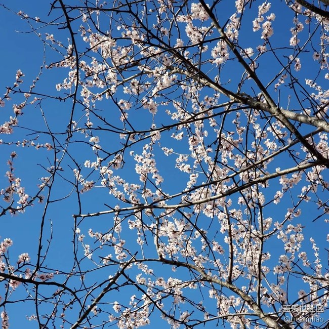 【最美四月天】春暖花開(kāi)