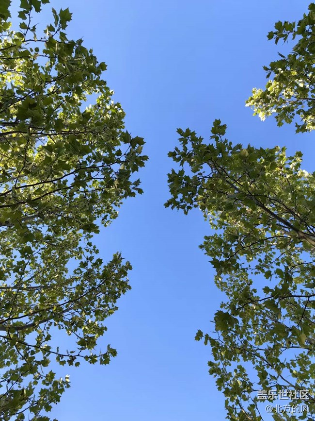 路過風(fēng)景線 -----春天的美麗風(fēng)景線