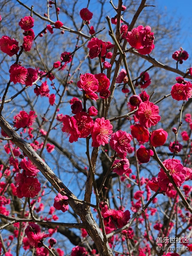 【最美四月天】春暖花開(kāi)