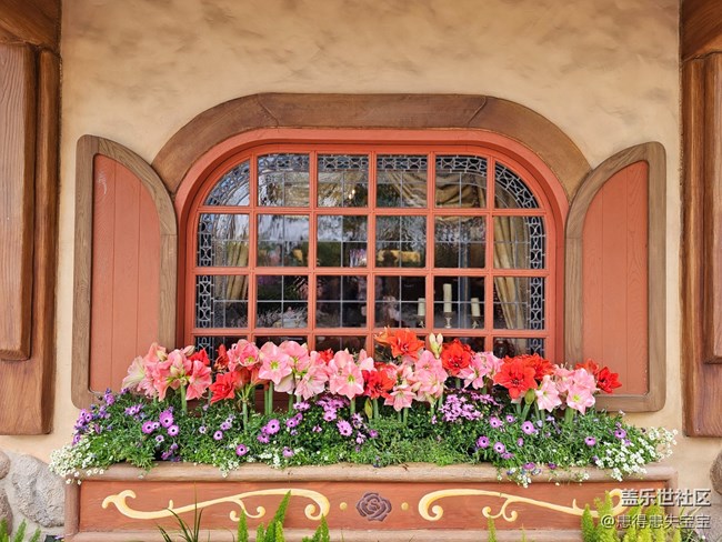 #路過(guò)風(fēng)景線——駐足