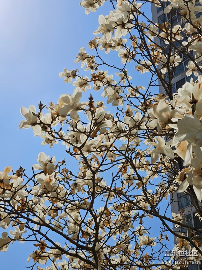 【最美四月天】春暖花開(kāi)