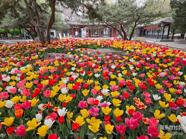 【最美四月天】春暖花開(kāi)