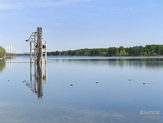 路過風(fēng)景線 -----春天的美麗風(fēng)景線