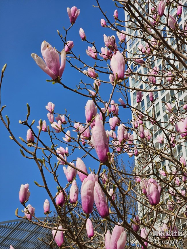 【最美四月天】春暖花開(kāi)