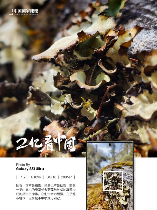 看見不一樣的原始森林