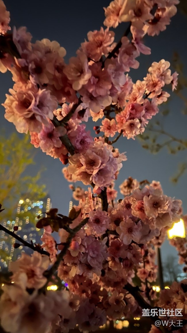 【最美四月天】+公園遛彎