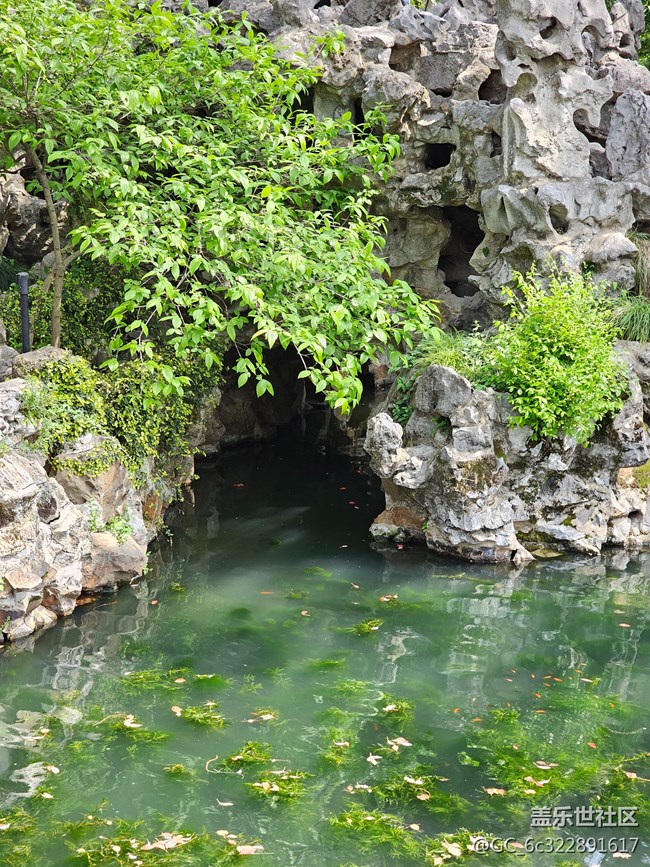 4.16平江路獅子林?jǐn)z影活動(dòng)回顧