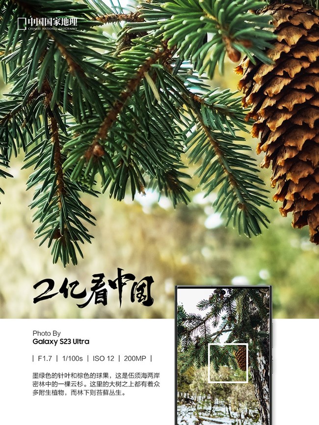 看見不一樣的原始森林