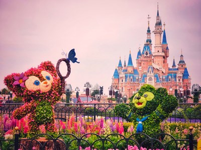 【四月物語】+打卡迪士尼