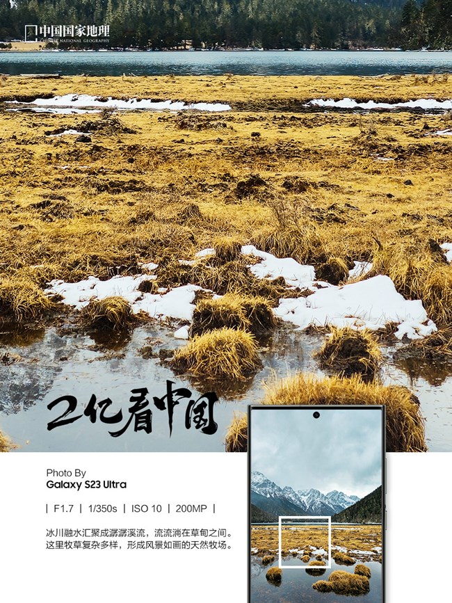 看見不一樣的原始森林