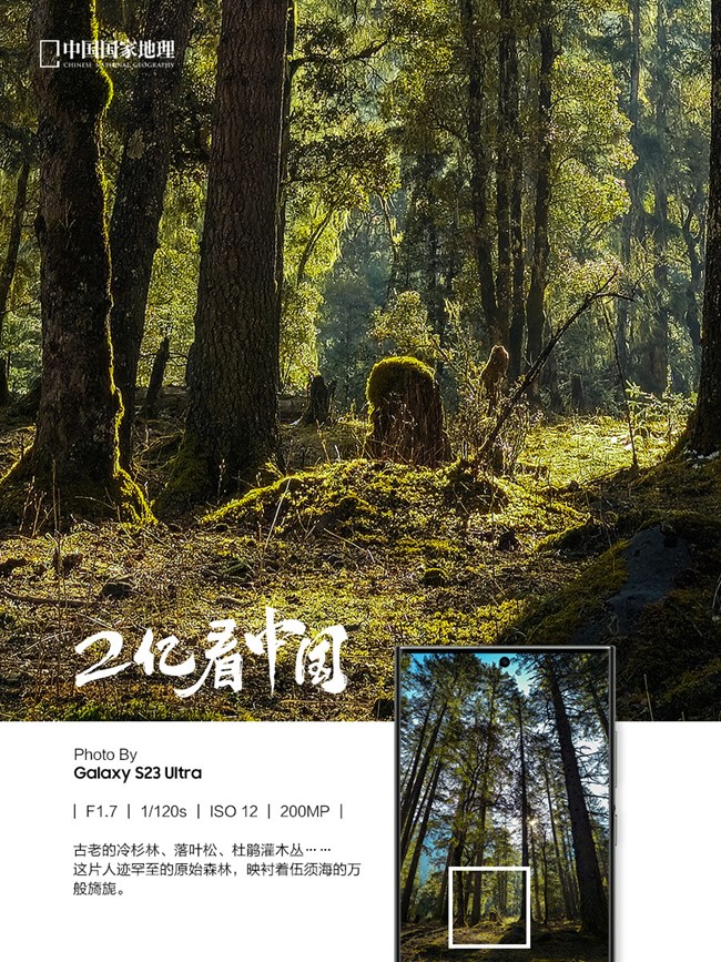看見不一樣的原始森林
