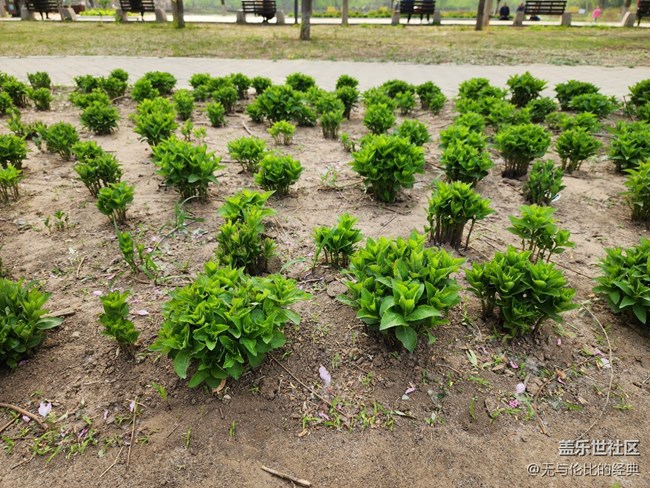 《不負春光》珍惜青春每一秒