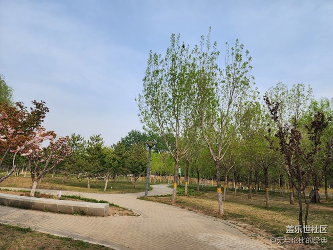 《不負春光》珍惜青春每一秒