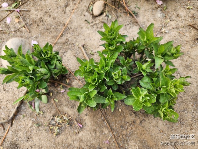 《不負春光》珍惜青春每一秒